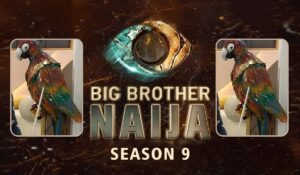 Big Brother Naija Season 9 logo featuring bold, golden text ‘BIG BROTHER NAIJA’ against a dark, dynamic background. Below the main text, ‘SEASON 9’ is displayed. Flanking the logo are images of a colorful robotic parrot with intricate mechanical details, suggesting themes of advanced technology and innovation.