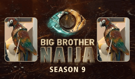 The logo for Big Brother Naija Season 9 features a vibrant parrot on either side, with a striking central eye design. The text "BIG BROTHER NAIJA" is prominently displayed in bold, metallic letters, with "SEASON 9" written below in a contrasting font.