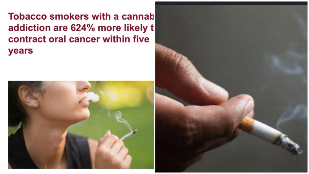 A woman and a man each holding and smoking a blunt and cigarette, highlighting tobacco and cannabis use risks.