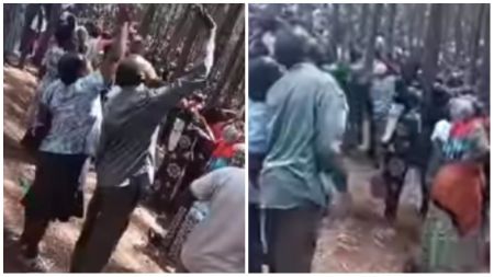 A large group of South African church members gathered in a forest, raising their hands and looking upward as they wait for the rapture.