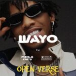 Download Instrumental + Hook – Tekno – Wayo (Open Verse) (Remake By Pizole Beats)