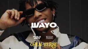 Tekno smiling in dark sunglasses and a white jacket for the cover art of the song Wayo Open Verse instrumental remake by Pizole Beats.